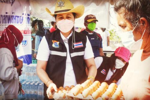 timeline_20211027_134409